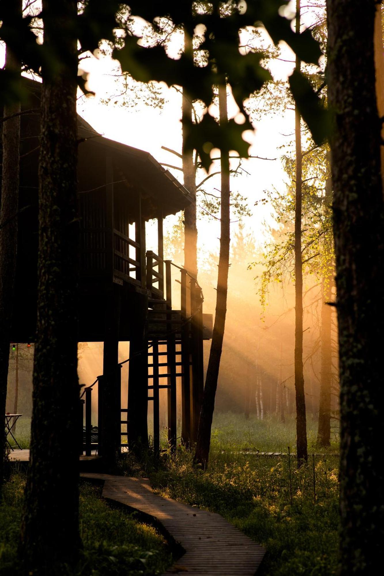 Вилла Sambliku Treehouse Jogisoo Экстерьер фото
